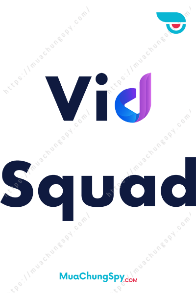 VidSquad