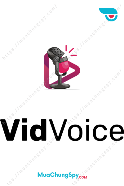 VidVoice