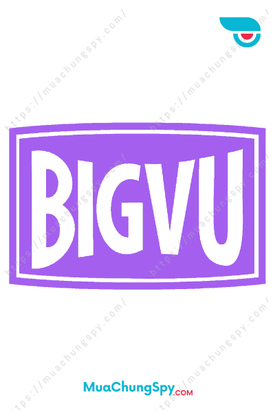 BIGVU