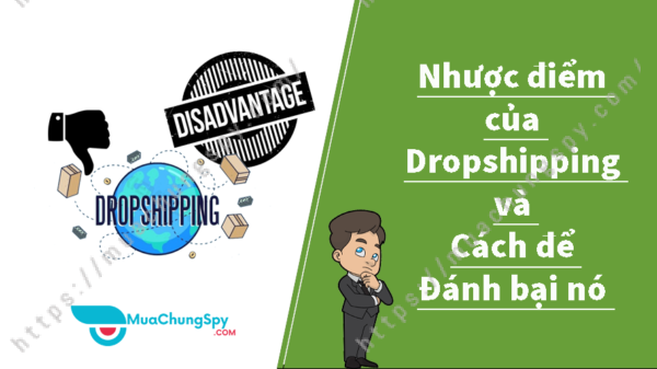 Nhược điểm Của Dropshipping