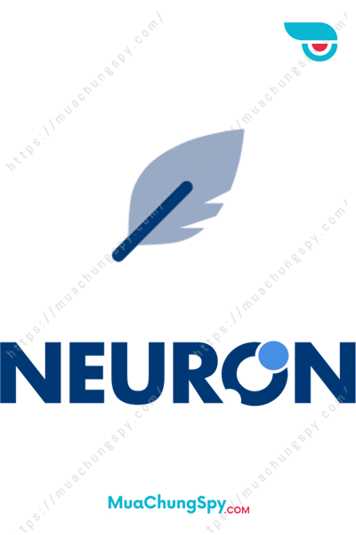 Neuronwriter