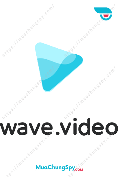 Wave Video