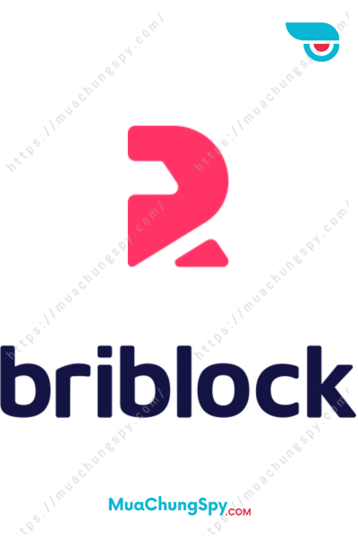 Briblock