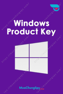 Key Windows Professional