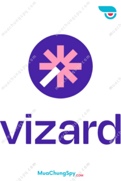 Vizard AI