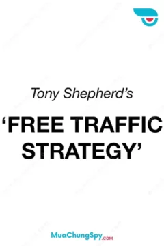 Free Traffic System