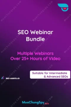 SEO Webinar Bundle